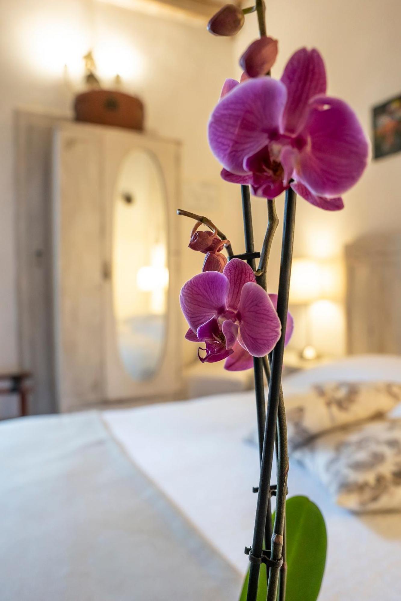 Le Terrazze Del Chianti B&B Residenza D'Epoca E Di Charme San Donato in Poggio Kültér fotó